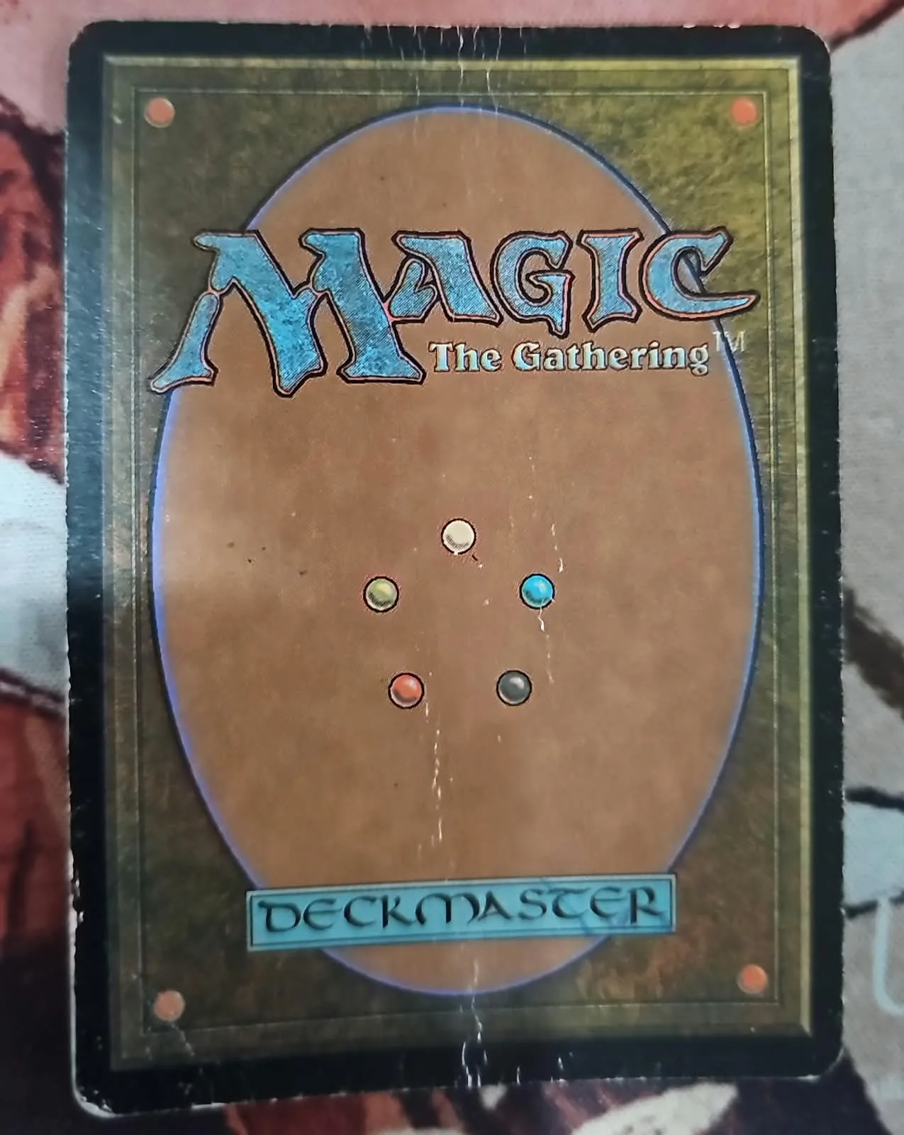 Vuelta del ejemplar en venta